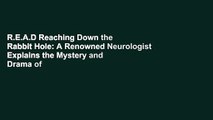 R.E.A.D Reaching Down the Rabbit Hole: A Renowned Neurologist Explains the Mystery and Drama of