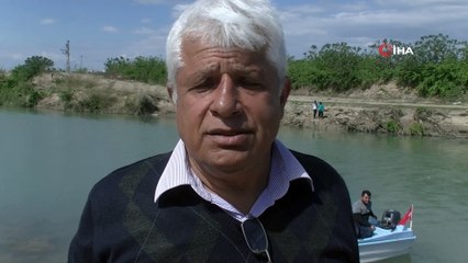 Sütten yeni kesilen yavru Akdeniz foku, avlanmak isterken kendini Aksu Çayı'nda buldu