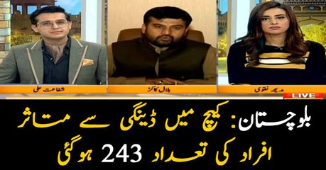 Dengue outbreak: 93 new cases reported in Balochistan’s Kech