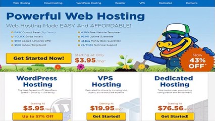 Beginner's guide for building a Successful WordPress Website