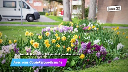 Avec vous Coudekerque-Branche