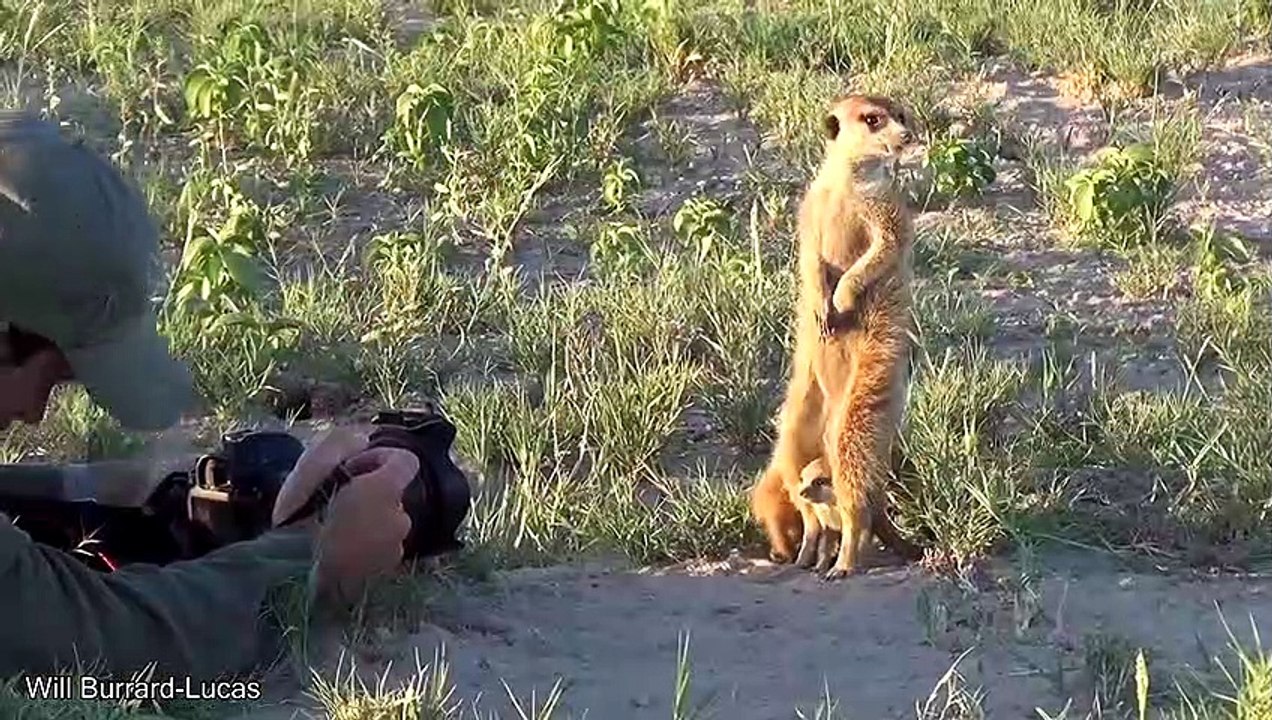 funny april fools pranks for school