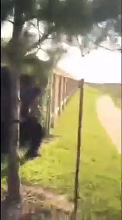 Brother takes care of his sisters abusive boyfriend