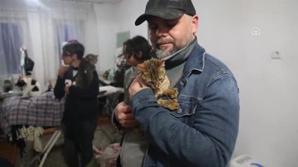 Engelli Sokak Hayvanlarının "Koruyucusu" Oldu - Muğla