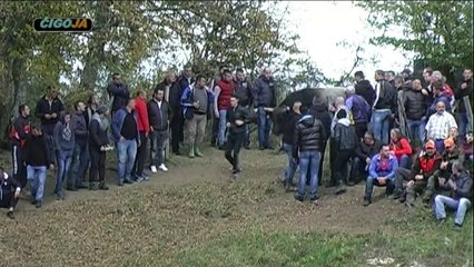 KOBRA MEDONJA SEHOVCI 2018 TUBICI I RADJA ORIGINAL