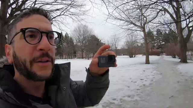 Squirrel steals GoPro and runs up a tree