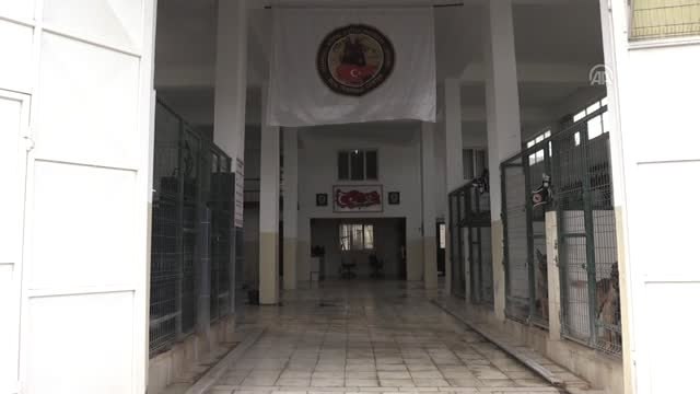 Hassas Burunlar Zehir Tacirlerine Geçit Vermiyor