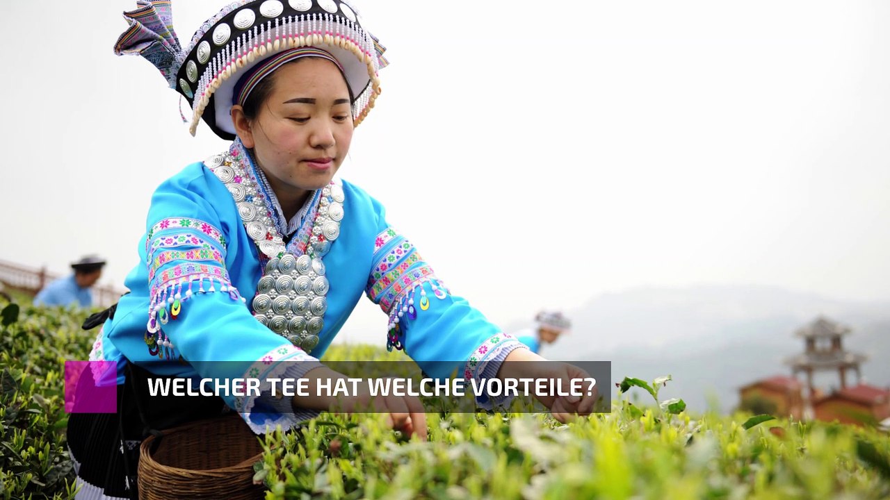 Welcher Tee hat welche Vorteile?