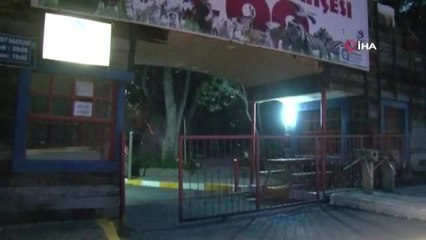 Hayvanat Bahçesinden Kurt Kaçtı: Böyle Görüntülendi