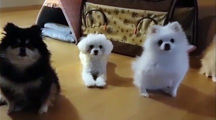 (제주도출장마사지) ##D 100%후불-【 Ø1Ø↔5762↔6631 카톡fc81】제주도출장안마, 제주도출장안마후기, 제주도출장안마'만족τ제주도출장안마'만족도1위 20대여대생의 최상위 서비스