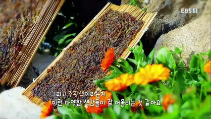 한국기행 - Korea travel_남쪽나라 오감기행 2부 그리다, 봄_#001