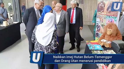 Hutan Belum-Temenggor, Orang Utan khazanah dunia
