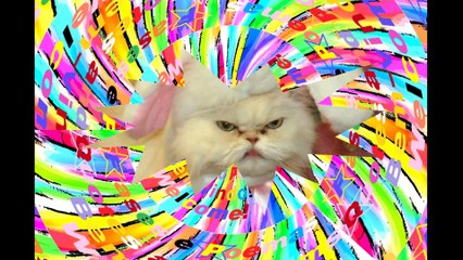 So cute when you are angry [Quotes and Poems]