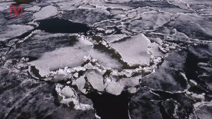 80% of Arctic Sea Ice Is Melting Before It Even Leaves Its Nursery