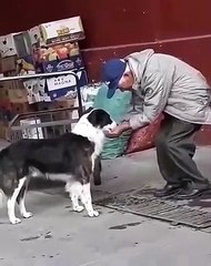 Ce vieil homme fait un acte des plus admirables pour un chien assoiffé. Regardez !