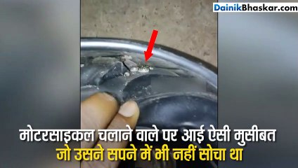 जब हेलमेट में अंदर घुस गया सांप