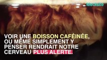 Penser à une tasse de café suffirait à stimuler notre cerveau