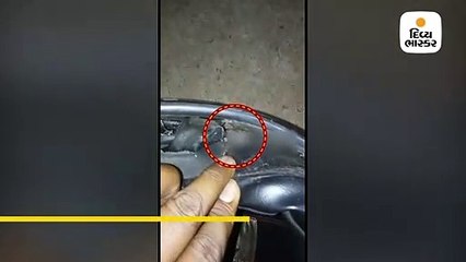 હેલ્મેટમાં ફરતો હતો નાનો સાપ,  એક્સપર્ટની મદદથી બહાર કાઢ્યો