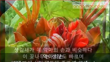 (용산출장마사지) (##E) -100%후불-【 ØlØ↔9542↔2679 】용산출장안마, 용산출장안마후기, 용산출장안마'만족ひ용산출장안마'만족도1위 20대여대생의 최상위 서비스