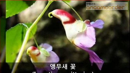 (강남출장마사지) (##E) -100%후불-【 ØlØ↔9542↔2679 】강남출장안마, 강남출장안마후기, 강남출장안마'만족ひ강남출장안마'만족도1위 20대여대생의 최상위 서비스