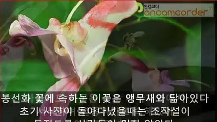 (강서출장마사지) (##E) -100%후불-【 ØlØ↔9542↔2679 】강서출장안마, 강서출장안마후기, 강서출장안마'만족ひ강서출장안마'만족도1위 20대여대생의 최상위 서비스