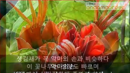 (마포출장마사지) (##E) -100%후불-【 ØlØ↔9542↔2679 】마포출장안마, 마포출장안마후기, 마포출장안마'만족ひ마포출장안마'만족도1위 20대여대생의 최상위 서비스