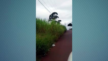 Mato alto ao lado da rodovia BR-467 gera reclamação