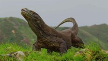 Komodo Island Is Closing to Tourists Because People Are Stealing Dragons