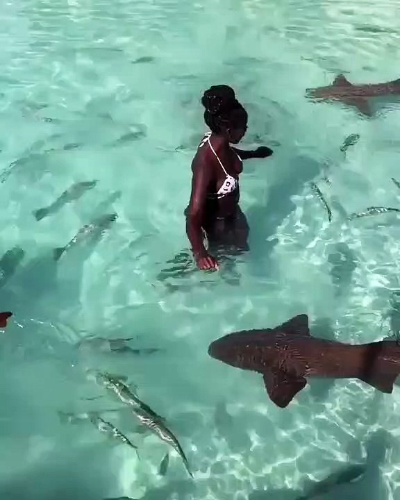 Quand on a pas peur des requins, voici ce que ça donne ! Renversant !