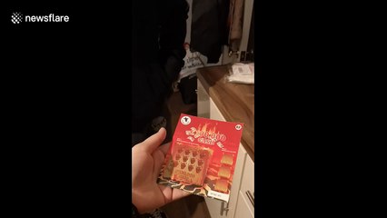 This cat has a priceless reaction to his new Easter bunny ears