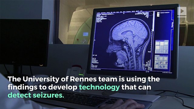 Dogs Can Smell Epileptic Seizures