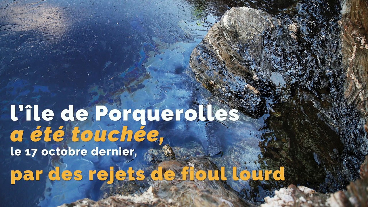 Les travaux de dépollution à Porquerolles bientôt terminés
