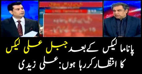 Waiting for Jebl Ali leaks after Panama Papers: Ali Zaidi