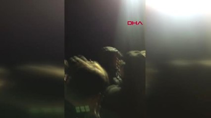 Bursa Arıza Yapan Budo Feribotundaki Yolcular Armutlu'dan Aktarmalı İstanbul'a Taşındı