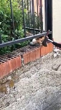 Helal Sana Güzel Yürekli Adam