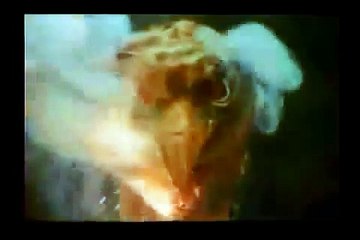 꽁머니홍보방 https://www.okm5.com【，바카라사이트，】