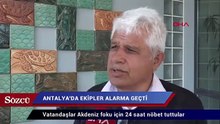 Akdeniz foku için 24 saat nöbet tuttular