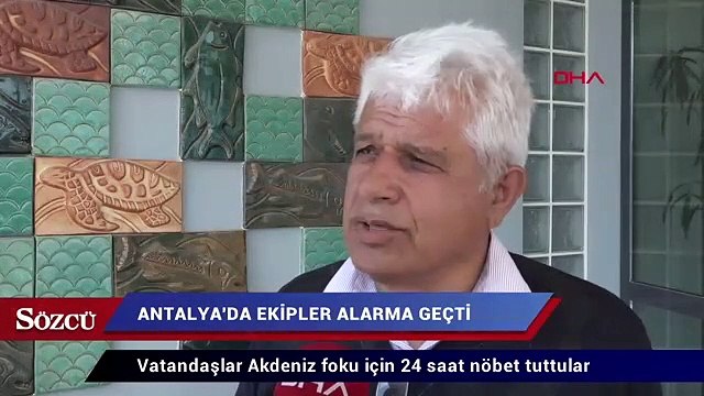 Akdeniz foku için 24 saat nöbet tuttular