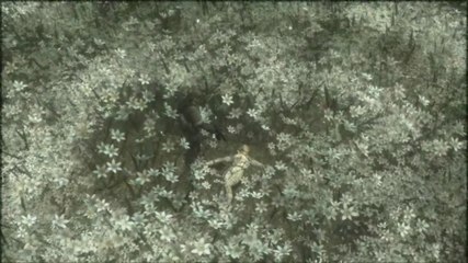 (WT) Metal Gear Solid 3 HD [15] : L'affrontement Final