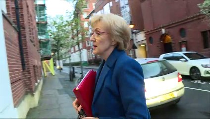 Leadsom: Cabinet 'trying to find a way to deliver on Brexit'