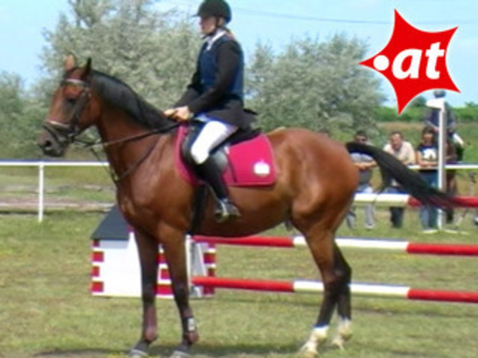 Viktoria Lang, Springreiten, Burgenland (2007-027)