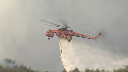 [현장영상] 부산 운봉산 화재...밤사이 불길 번져 / YTN