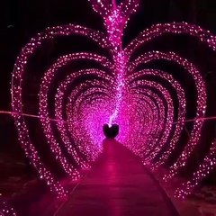 Lovely decorations for a wedding in Delhi