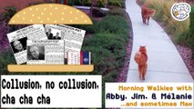 Collusion, no collusion, cha cha cha -Walkies with Abby & Max