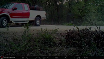 Trail Camera Catches BBQ DUMPER