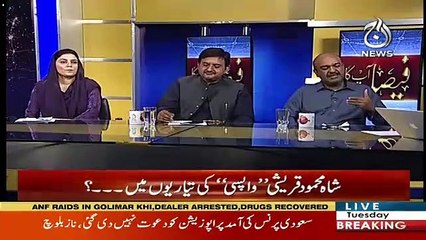 Kya Shah Mehmood Party Chor Ker Ja Rahe Hain ? Asma Shirazi To Nadeem Afzal Chan