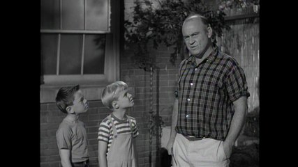 Dennis The Menace: S1 E25 - Dennis And The Bees