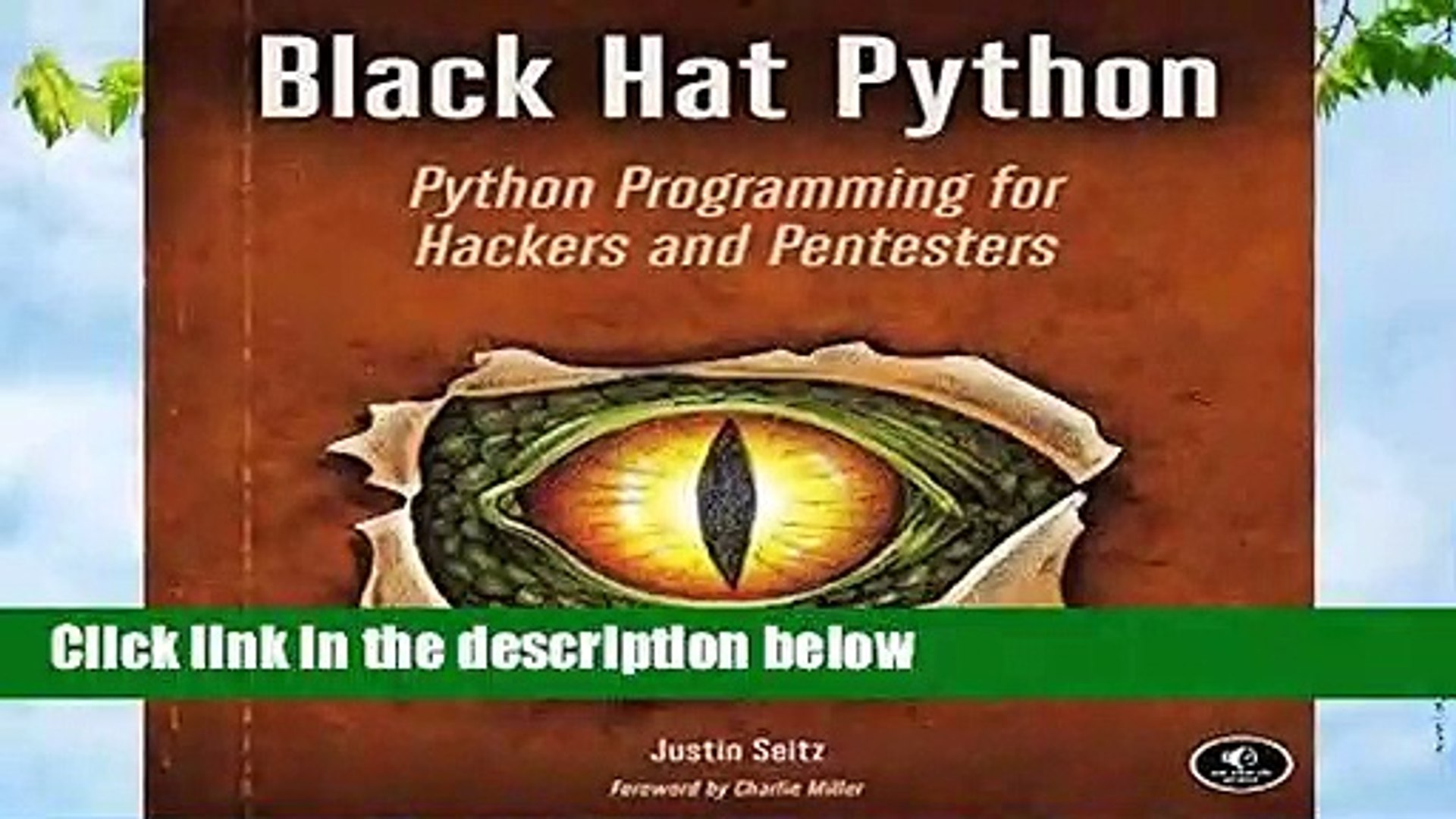 Black Hat Python: Python Programming for Hackers and Pentesters - video  Dailymotion