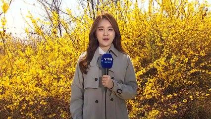 [날씨] 꽃샘추위 물러나 포근...건조특보에 강풍까지, 화재 유의 / YTN