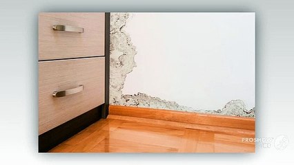 Step to be followed for doing better water damage repair
